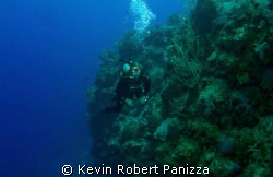 Wendy off the wall in Cayman Brac.
4000 feet straight do... by Kevin Robert Panizza 